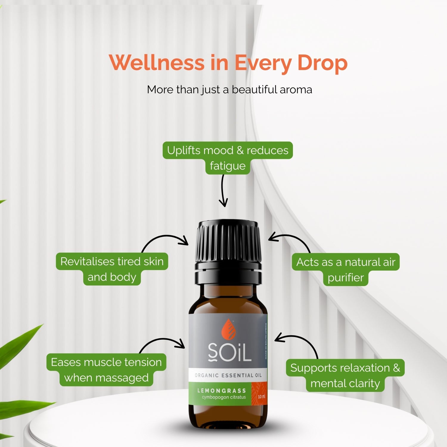 Organic Lemongrass Essential Oil (Cymbopogon Citratus) 10ml