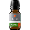 Organic Basil Essential Oil (Ocimum Basilicum) 10ml