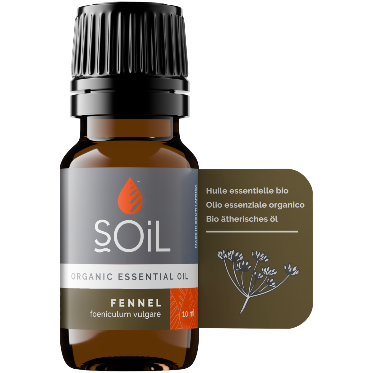 Organic Fennel Essential Oil (Foeniculum Vulgarus) 10ml