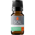 Organic Palmarosa Essential Oil (Cymbopogon Martini) 10ml